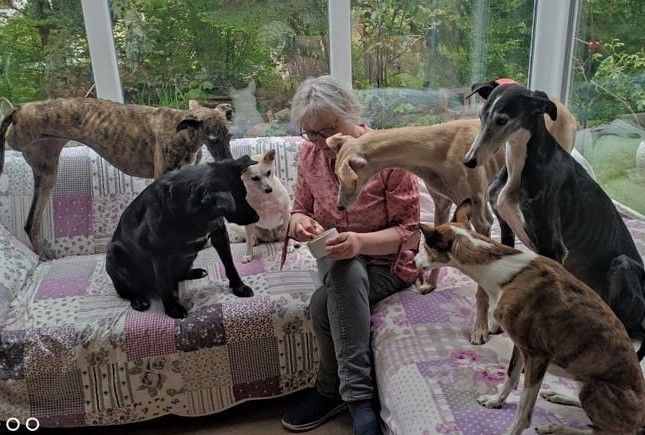 testimonial-piahoffmann