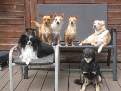 testimonial-steffithieme-scaled.jpg Testimonial Steffi Thieme