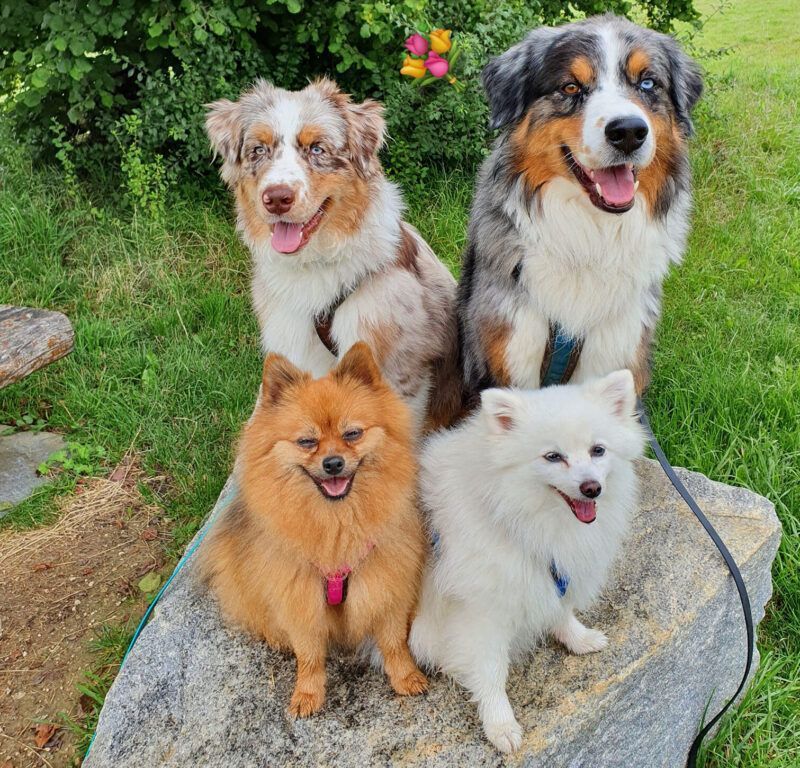 testimonial-catherine-dueblin1 Kundenstimme zum Onlinekurs