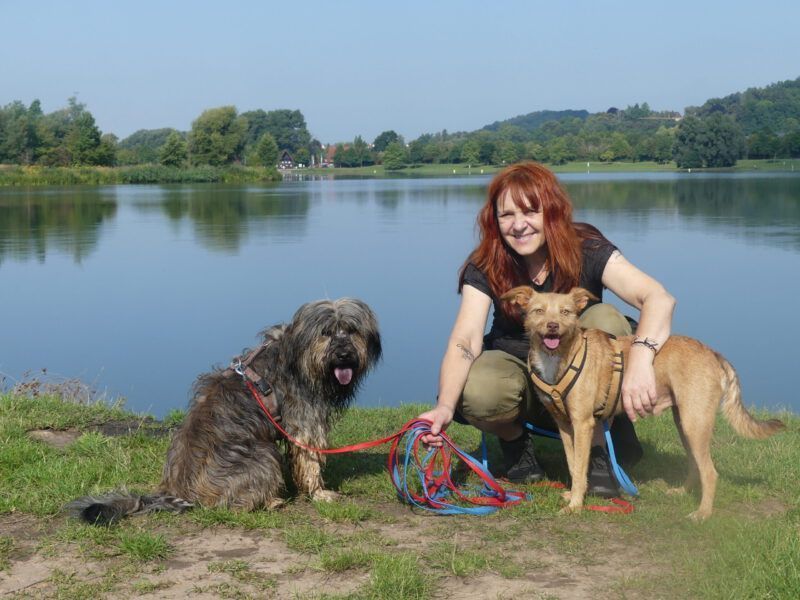 testimonial-eva-de-ridder