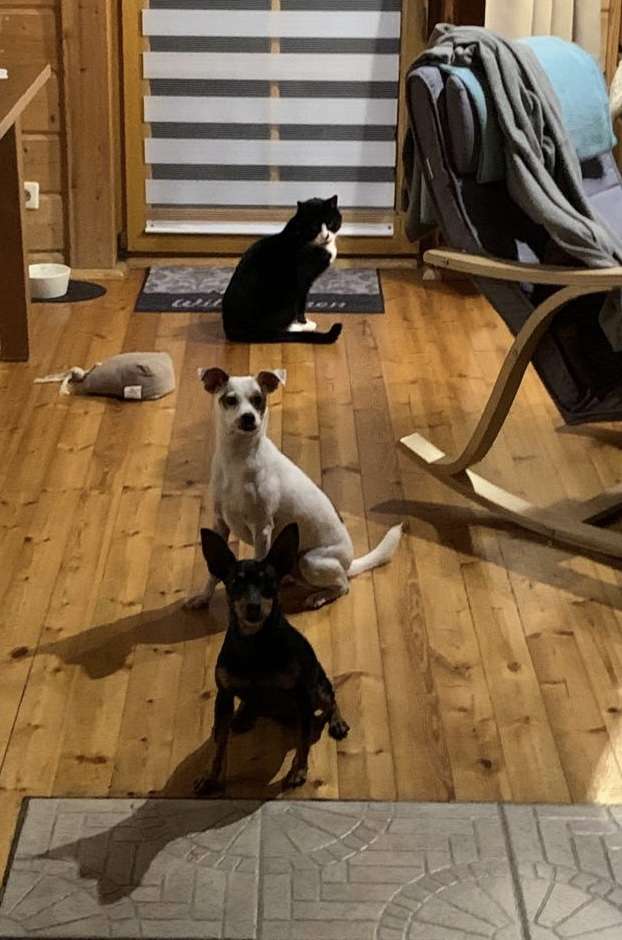 testimonial-elke-richter