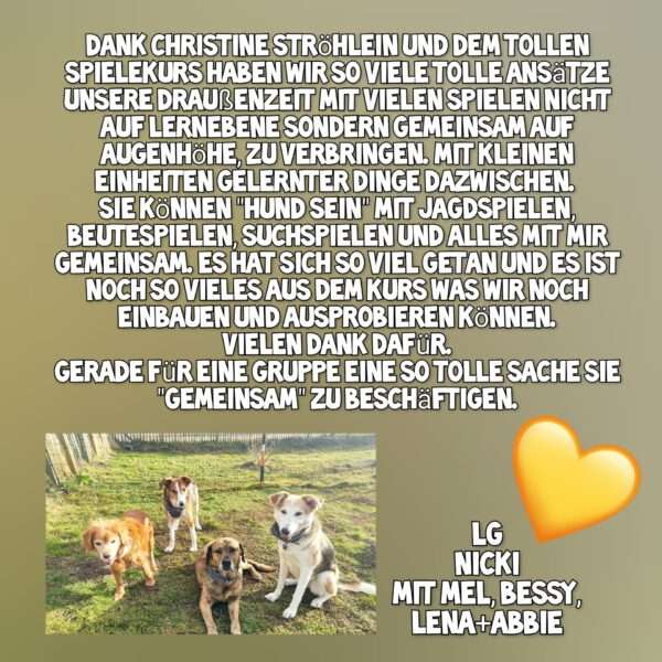 testimonial-nicki-pfeil