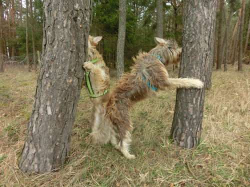 testimonial-sonja-reitenspiess