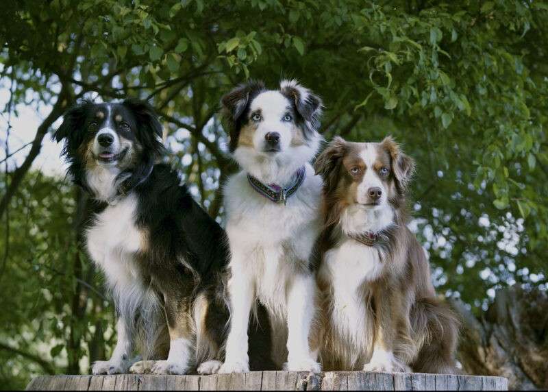 testimonial-claudia-hofmair-scaled-e1640601291470.jpg Testimonial Claudia Hofmair