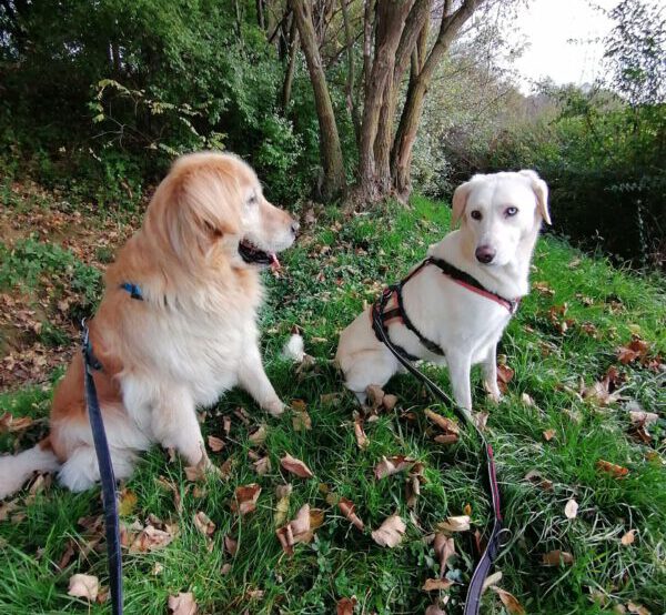 Coco und Emma von Susanne Cormier