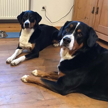 testimonial-susanne-schramm Kundenstimmen zum Onlinekurs